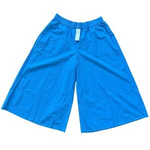 Eileen Fisher Calyp Cropped Wide Leg‎ Pants Organic Cotton Blue Size L Lagenlook